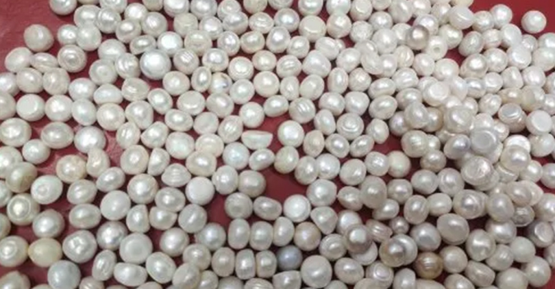 Akoya Pearl Necklace Buying-18